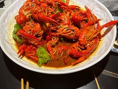-京悦南门涮羊肉·羊蝎子火锅(田林路店)