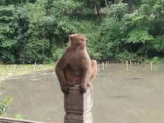 -黔灵山公园