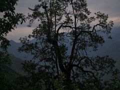-萝卜寨羌文化生态旅游区