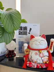 -Fundi张玉珊修身堂·indiba·BTL科技瘦身