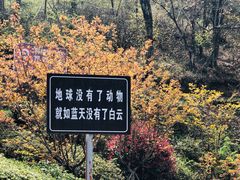 -大围山国家森林公园