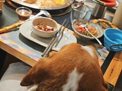 -廖掌柜·重庆鲜货火锅(上海首店)