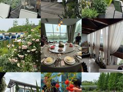 -白鹭湾湿地公园