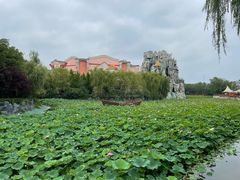 -郑州方特梦幻王国