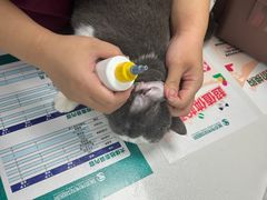 -伟伟宠物医院·CT影像中心·瑞派犬猫综合性门诊(汉口总院)