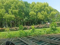 -潮府馆·非遗潮州菜·港式点心(世纪公园店)