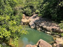 -广州白江湖森林公园