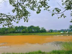 -金谷域澳洲庄园