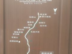 -青峰峡国家森林公园