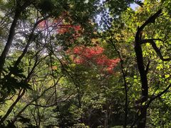 -关门山森林公园