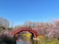 -洛阳市隋唐城遗址植物园