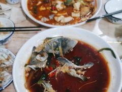 -煲来饱去冷水鱼