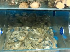 -宾朋海鲜特色美食餐厅·纯手工鲅鱼水饺(兴海路店)