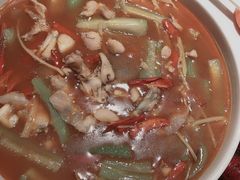 -杨氏青龙虾·羊蝎子(金盛路总店)