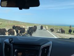 -青海湖国家重点风景名胜区