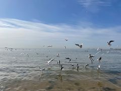 -老虎石海上公园