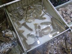 -吉悦蛋糕(外沙店)