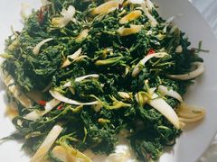 -庆岭迎宾园正宗活鱼馆