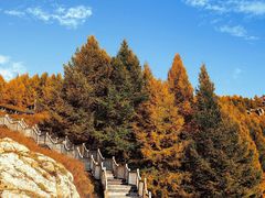 -苏木山森林公园