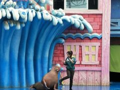 -华夏文旅西安度假区