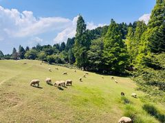 -神户市立六甲山牧场