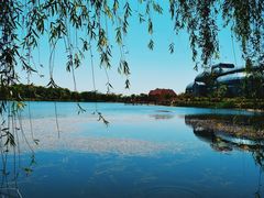 -大塘金香草谷
