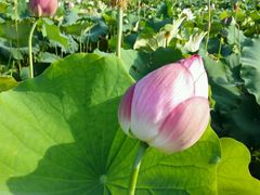 -韶山毛泽东同志故居