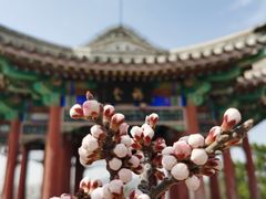 -香山公园