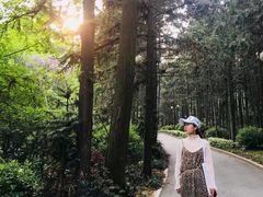 -冶父山国家森林公园