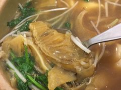 -大中鱼翅 Taitong Shark Fin
