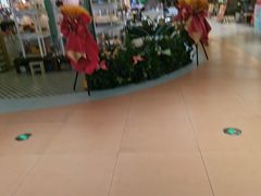 -光启城时尚购物中心