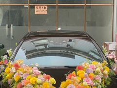 -碧江金楼