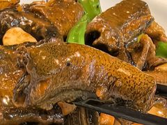 鳝鱼-董厨煨汤馆(车站路店)