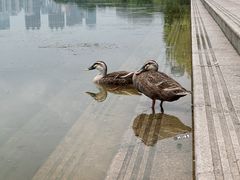 -南宁南湖公园