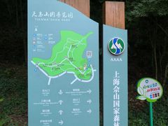 -上海佘山国家森林公园天马山园