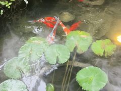 -花锦堂·隐庐
