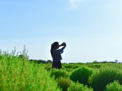 -映月湖中央公园