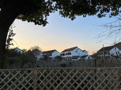 -树山生态村