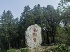 -普照寺