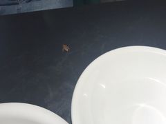 -绿茵阁(体育西分店)