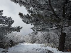 -安吉龙王山风景区