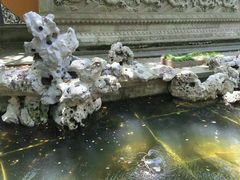 -普陀山风景名胜区-法雨禅寺