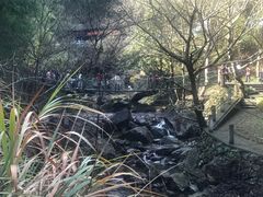 -宁波五龙潭景区