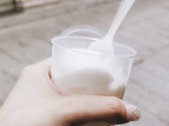 -洪馨椰子