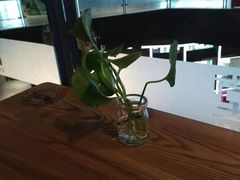 -椰语堂·海南清补凉(友谊阳光城店)