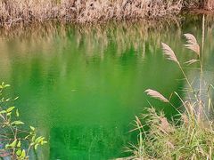 -阿哈湖国家湿地公园