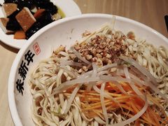 风扇凉面-朱新年·苏式汤团·面点(北寺塔店)