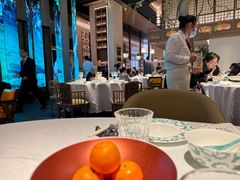 -桂满陇·海市蜃楼·黑金(国金店)