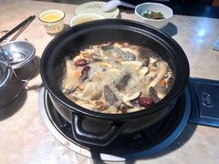 -蘑统田下·野生菌火锅