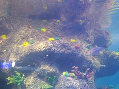 -沙沙哗啦海洋馆(华宇百花谷店)